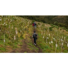 Green Climate Fund to Support Development of Conservation International Initiative to Transform Water Security in Bogot�