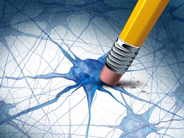 These Common Holiday Habits Could Be Hurting Your Brain Health