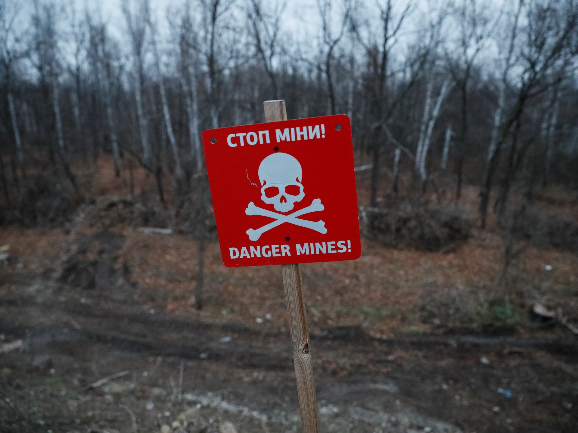 Poland and Baltic states to dump landmine treaty citing Russian threat