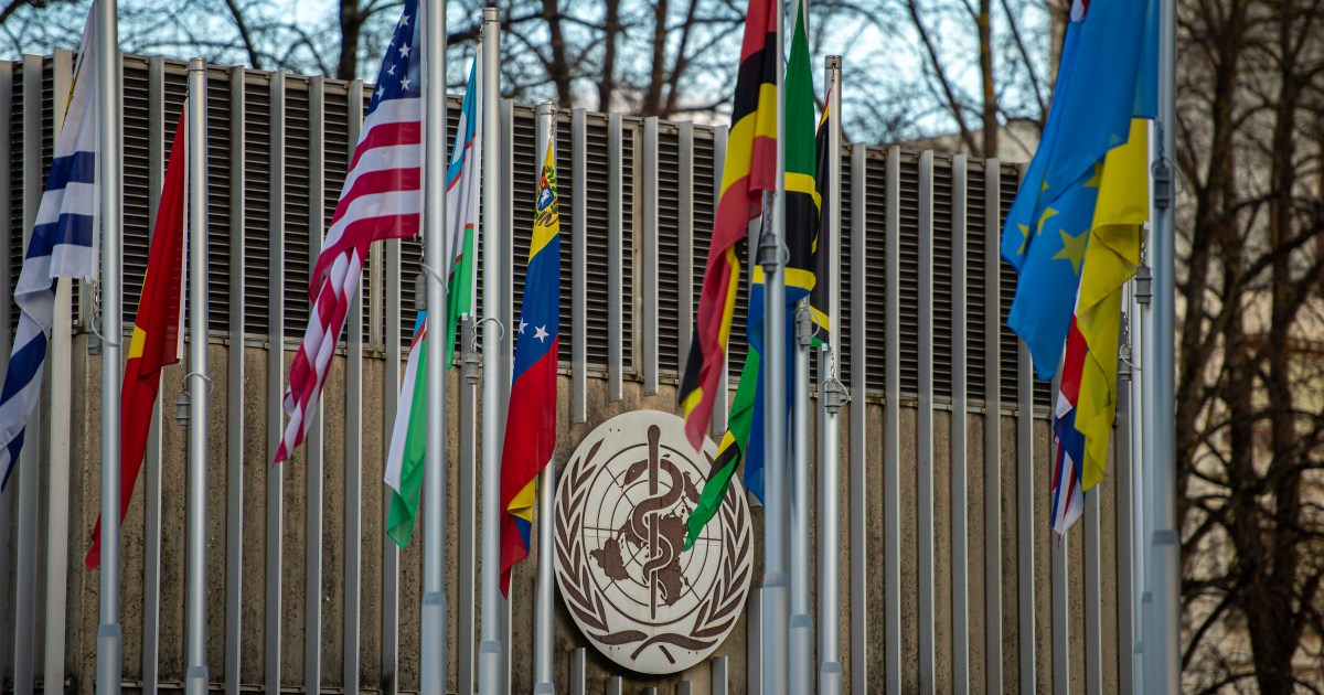 Countries reach landmark deal on tackling future pandemics, WHO says