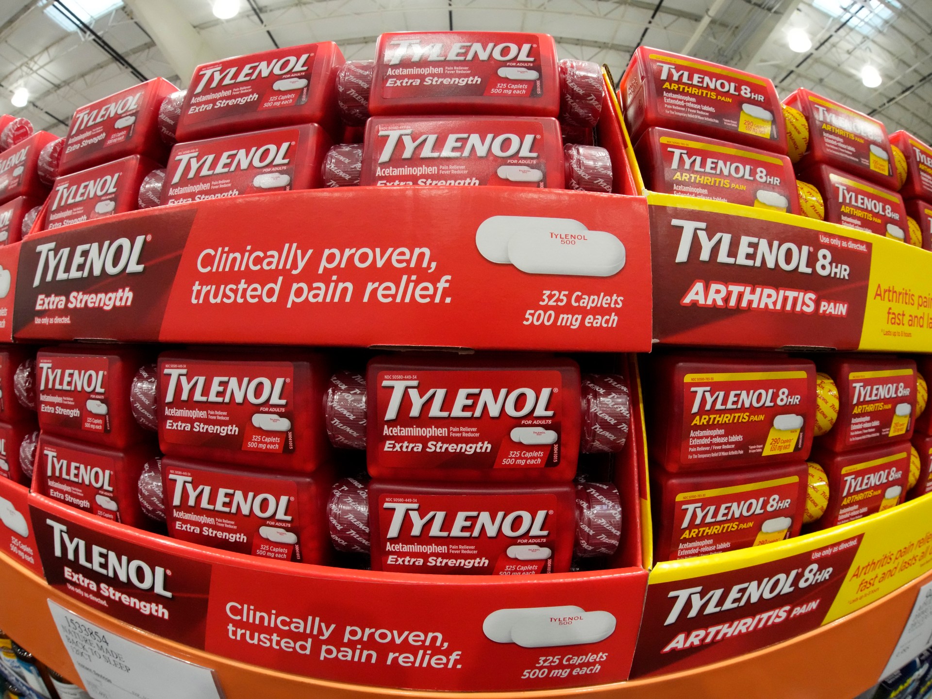 Fact check: Can taking Tylenol during pregnancy cause autism in children?