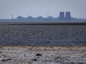 Zaporizhzhia nuclear plant repairs begin in Ukraine as ceasefire zones set