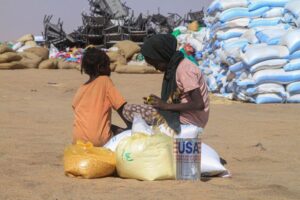 ‘New world disorder’: Sudan, Palestine top IRC’s 2026 Emergency Watchlist
