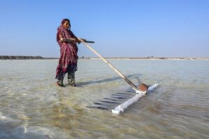 India’s salt workers brave brutal heat on Gujarat’s desert plains