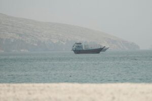 UN agency pauses Hormuz ship evacuation initiative after vessel attacked