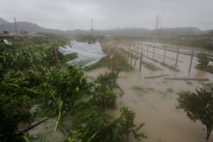 Typhoon Bavi weakens to tropical storm as it slams into eastern China