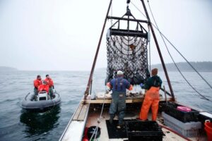 Trump administration aims to cut regulations on US commercial fishing