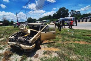 Eight Thai monks killed after child drives truck into procession