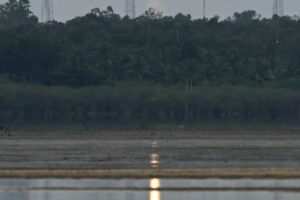 India achieves milestone with launch of first private-sector orbital rocket