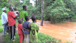 ‘Before, the land sustained us’: Who benefits from Guinea’s bauxite wealth?