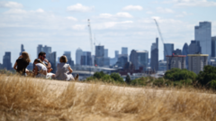 Amber heat health alerts to come into force as heatwave reaches 35C peak
