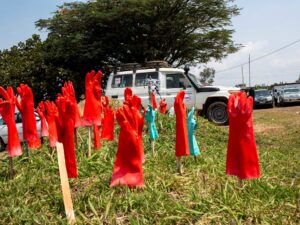 DRC Ebola cases surpass 2,000 as more health workers begin strike