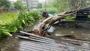China prepares as Typhoon Bavi leaves Taiwan